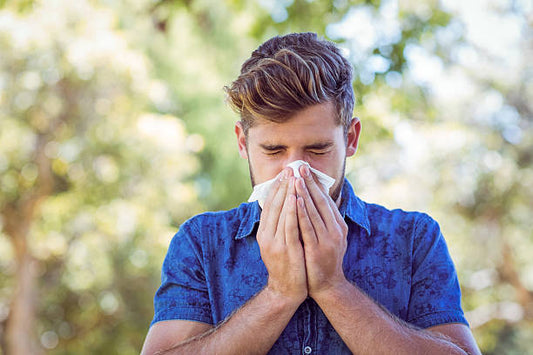 air purifier for hayfever