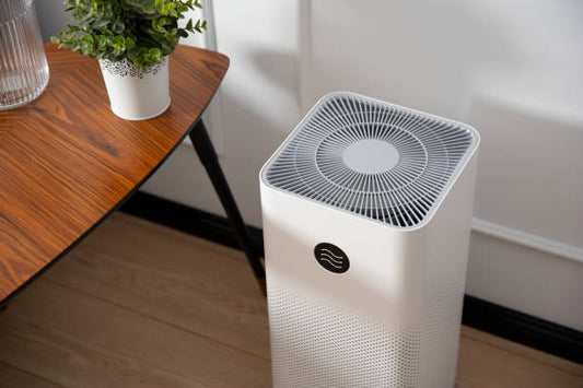 personal air purifier
