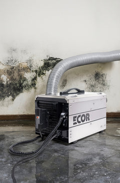 How Commercial Dehumidifiers Help Prevent Mould Growth