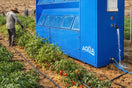 AWGs in Agriculture: Turning Air Into Irrigation for Remote Farms