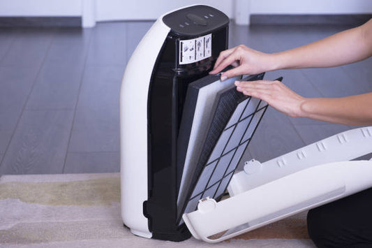 air purifier filters